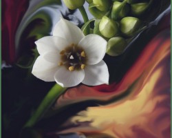 Una flor de esposici