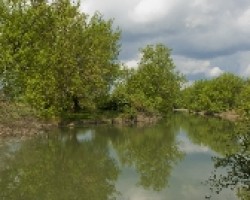 rio bullaque
