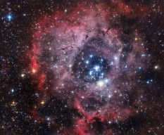 Nebulosa roseta