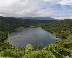 Laguna de hule
