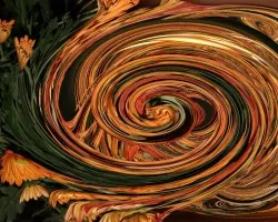 Hurac?n de Gerberas