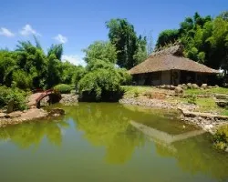 Jardin japones