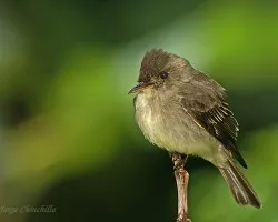 acurrucadito..