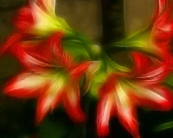 Fractal de lirio de borde rojo