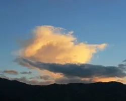 Composición divina