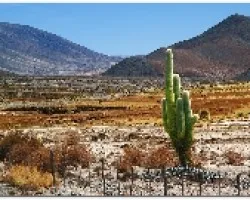 La naturaleza responde
