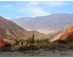Los colores