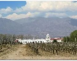 Vinedos de Cafayate