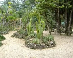 captus