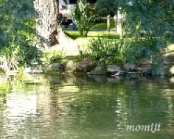 Jardin Japonés