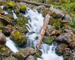 aguas salvajes