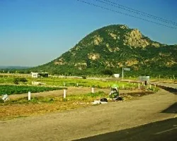 Camino
