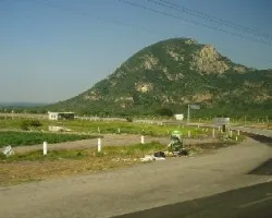 Original Camino