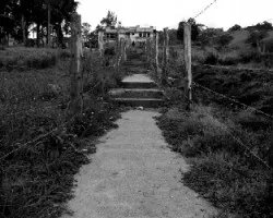 Camino