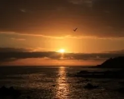 ATARDECER