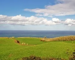 Verde y azul