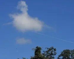 Nubes