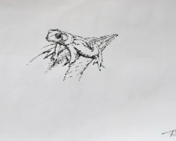 sapo a puntillismo
