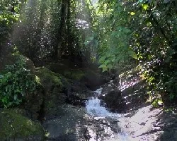Portalon