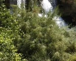 cascada