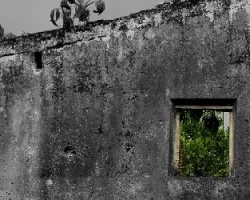 Ventanas Olvidadas