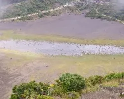 Laguna