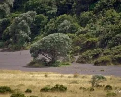 Volcán Irazú