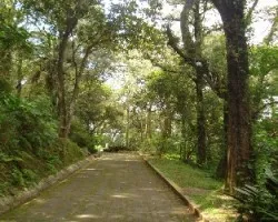 Camino hacia arriba