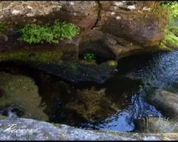 A CANTARA DA MOURA (A VEIGA - OURENSE)