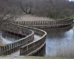 Camino sobre el agua