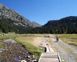 Camino alta montaña