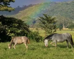 Al final del arcoiris