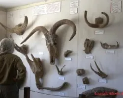 Museo en oldupai