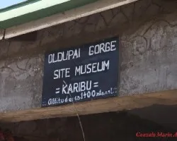 Museo en oldupai