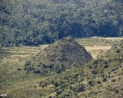 Un cerrito en la sabana