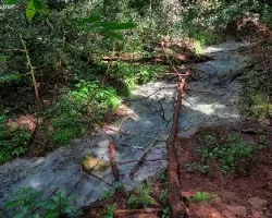 Agua que no has de beber