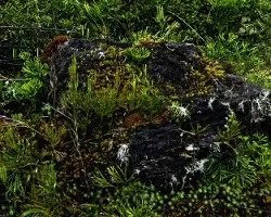 Rocas en la naturaleza iii