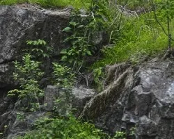 Rocas en la naturaleza ii