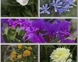 Naturaleza variada i