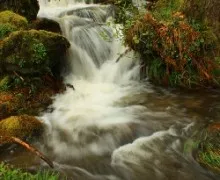 Re: don josé enrique fotógrafo