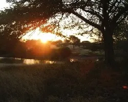 Atardecer en el bosque seco tropical