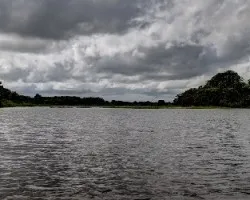 Laguna de caño negro