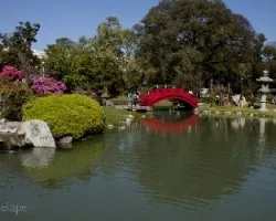 Jardin japonés