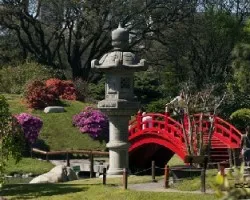 Jardin japonés