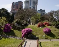 Jardin japonés