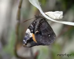 En memoria de josé enrique