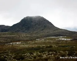 Produciendo agua - dando vida