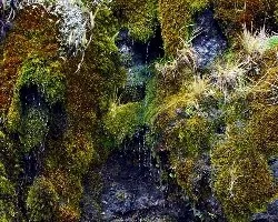 Produciendo agua - dando vida