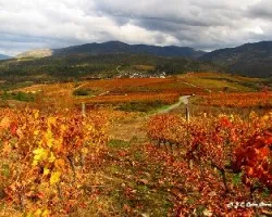 Invierno, Primavera y Otoño,