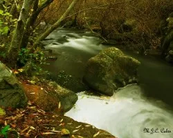 Probando la cámara  arreglada